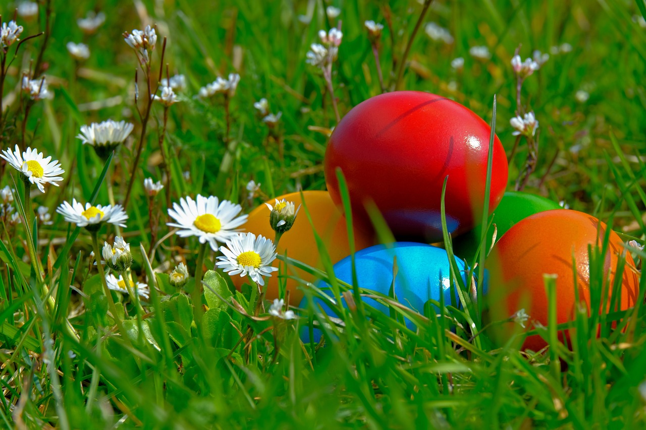 Fünf bunt bemalte Eier liegen im Gras